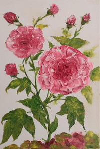 CD, Roses, oils.jpg